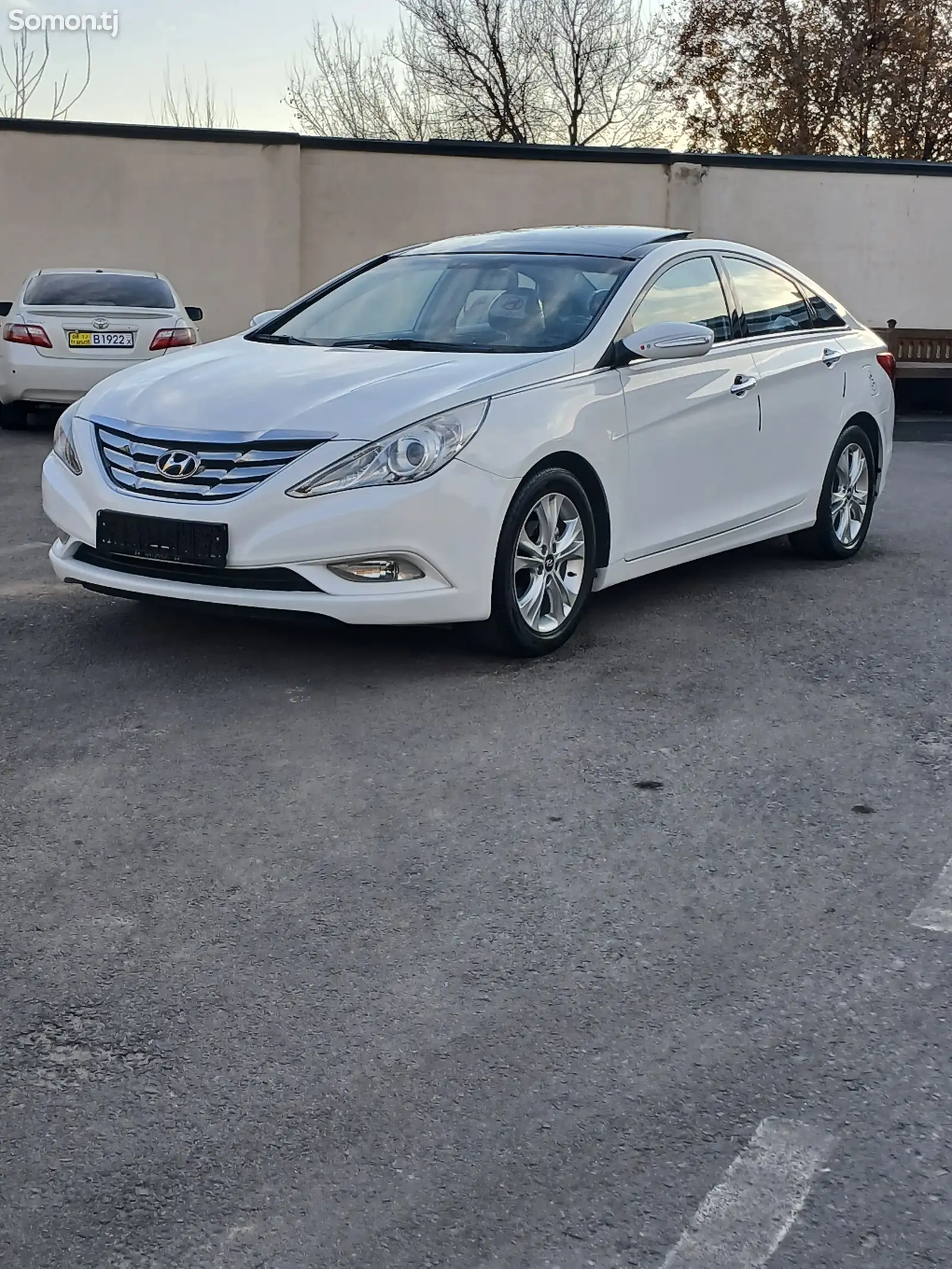 Hyundai Sonata, 2010-1