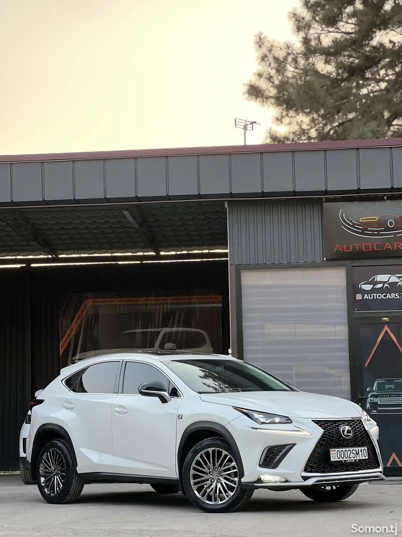 Lexus NX series, 2017-4