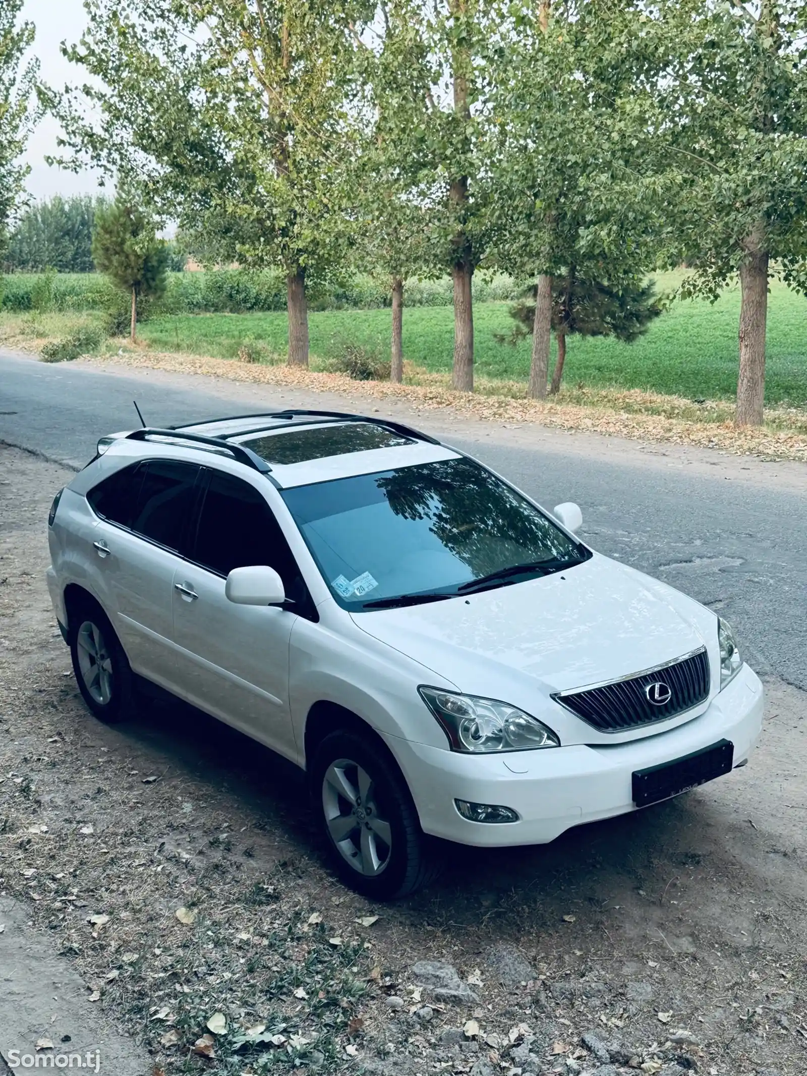 Lexus RX series, 2008-2