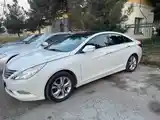 Hyundai Sonata, 2011-5