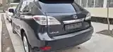 Lexus RX series, 2010-3