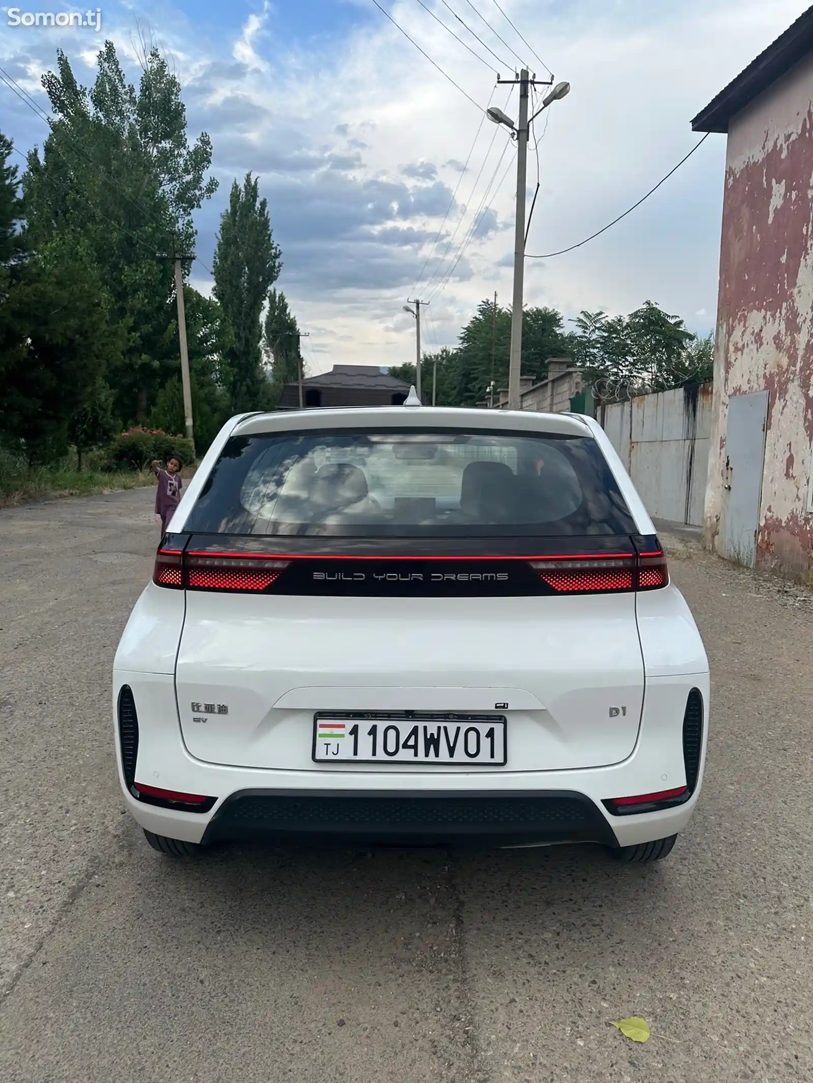 BYD Другие модели, 2021-5