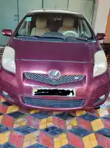 Toyota Vitz, 2010-3