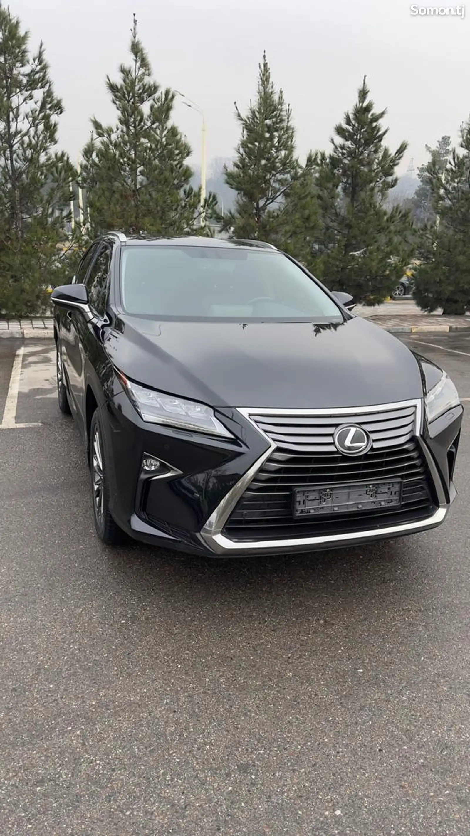 Lexus RX series, 2019-1