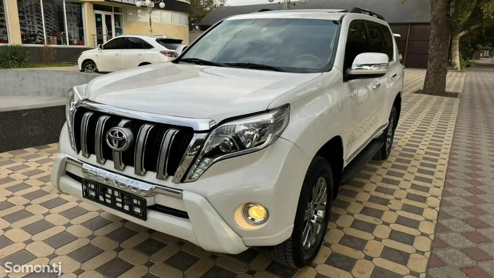 Toyota Land Cruiser Prado, 2010-6