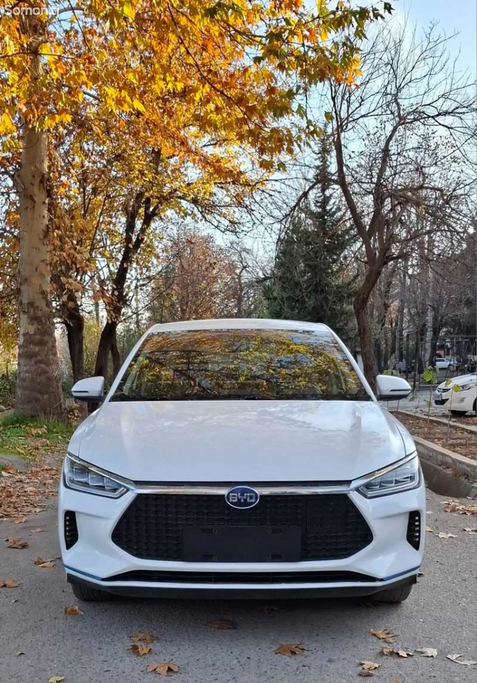 BYD E3, 2020-1