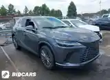 Lexus RX series, 2024-3