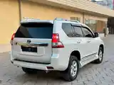 Toyota Land Cruiser Prado, 2011-5