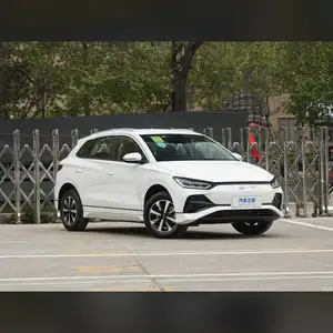 BYD E2, 2024