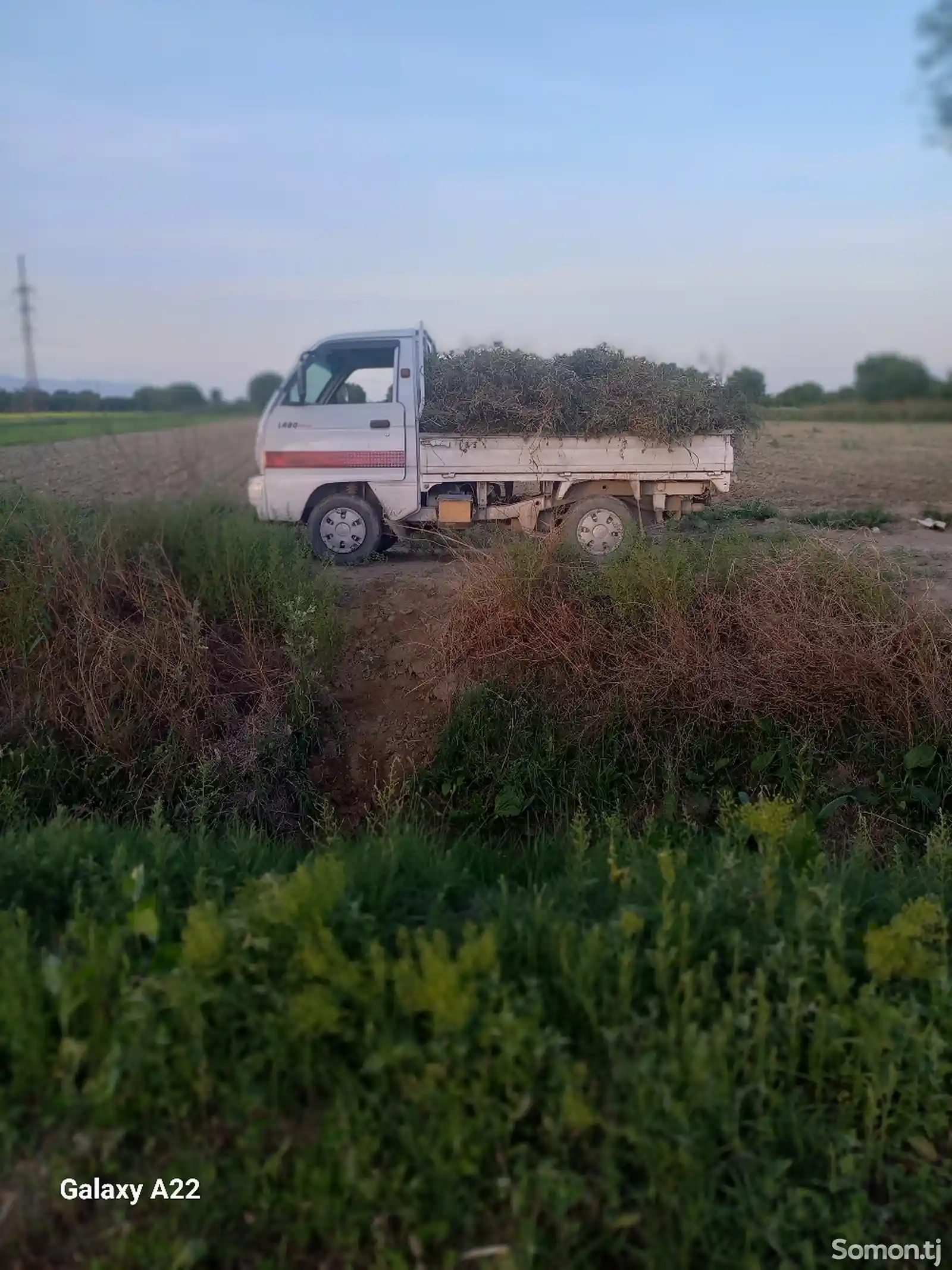 Бортовой автомобиль Daewoo Labo, 2004-3