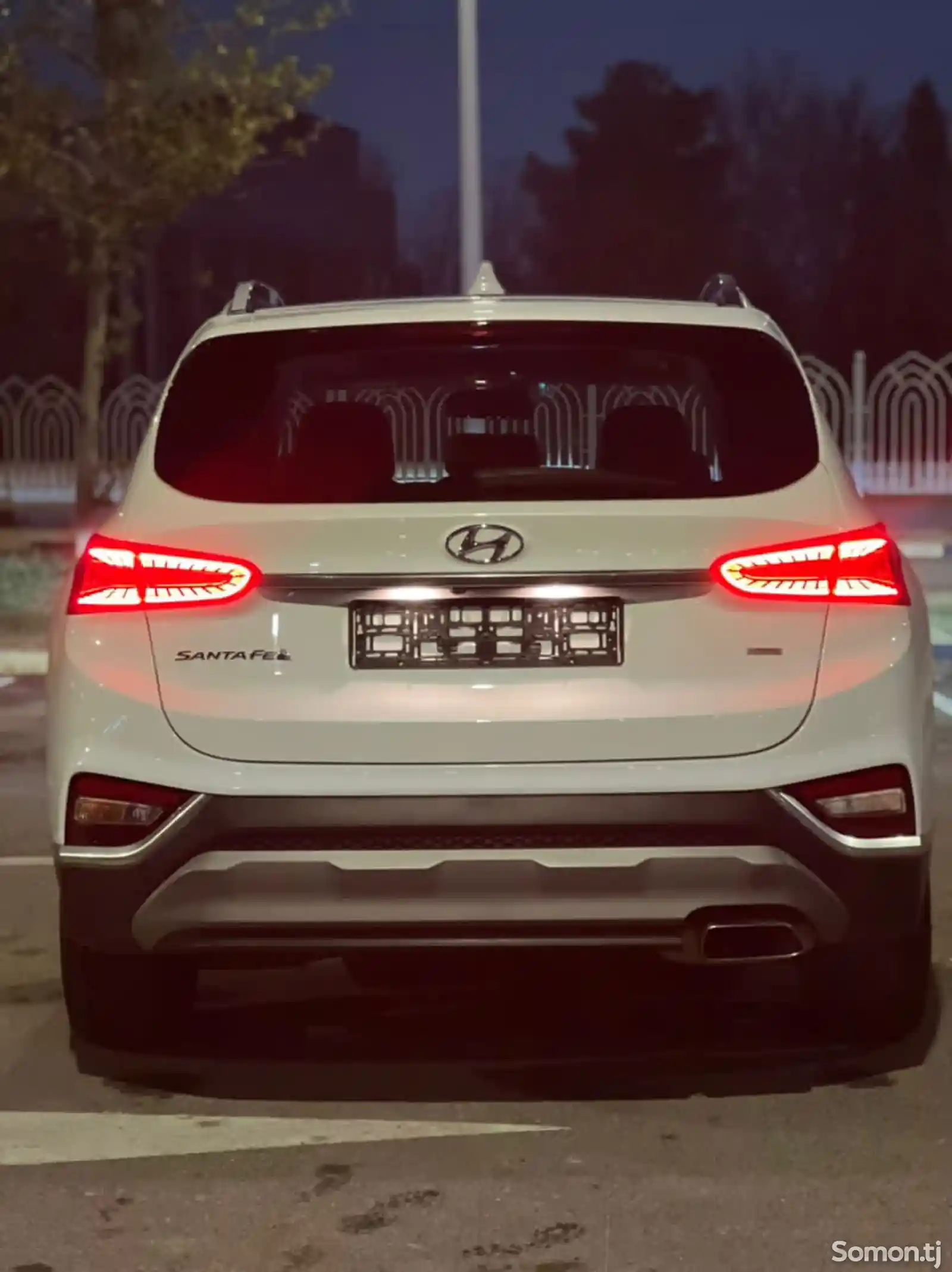 Hyundai Santa Fe, 2020-3