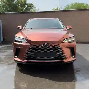 Lexus RX series, 2024