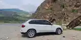 BMW X5, 2013-10