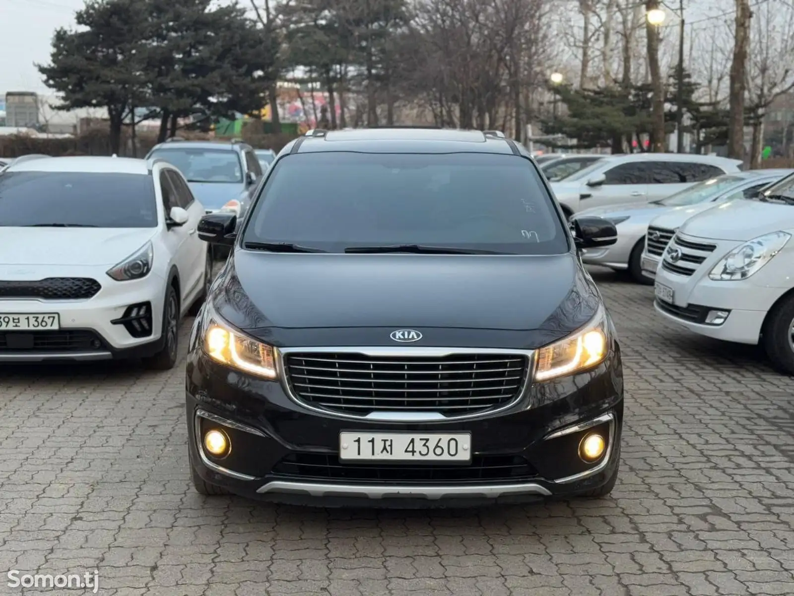 Kia Carnival, 2015-1