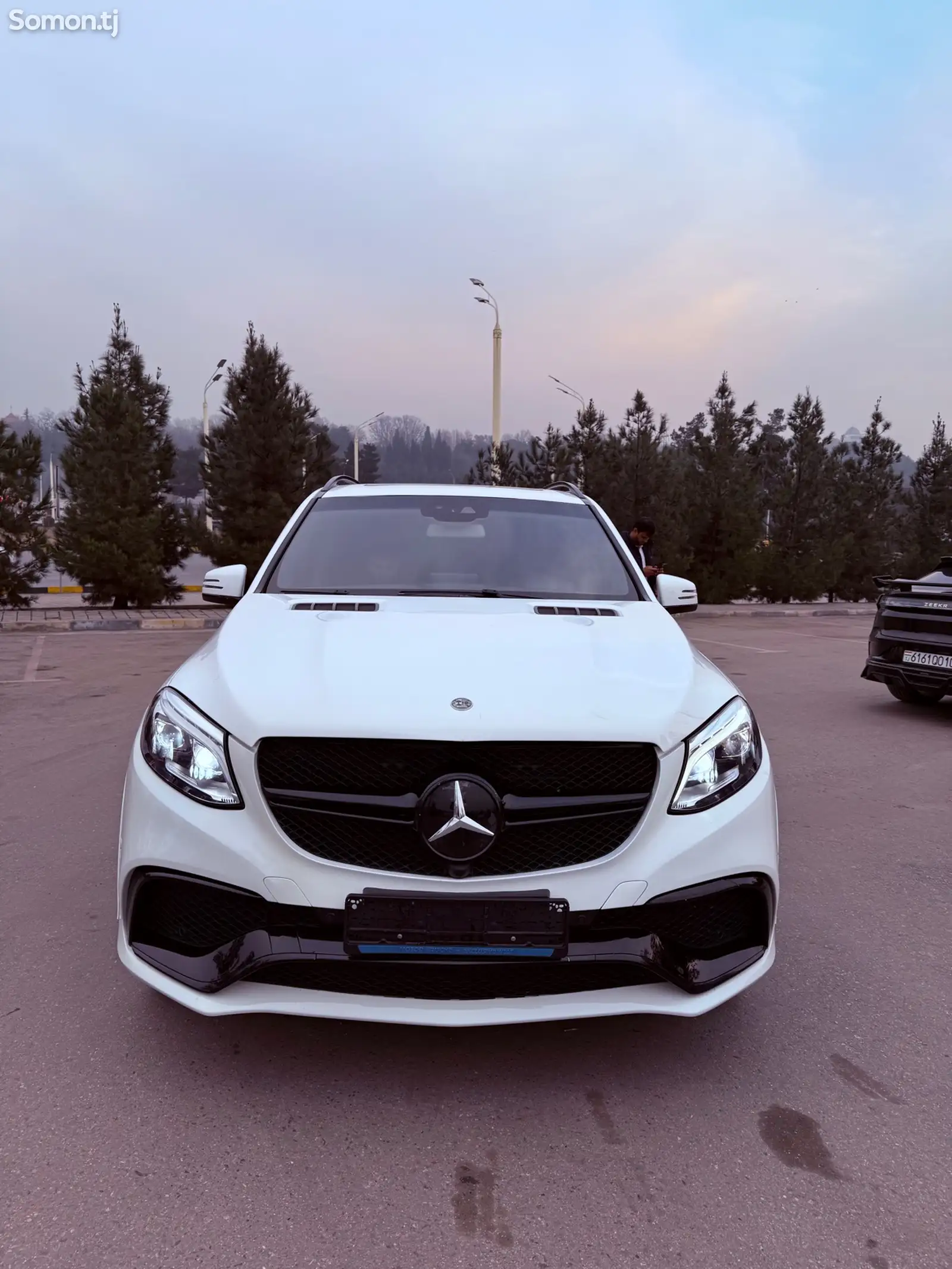 Mercedes-Benz GLE class, 2018-1