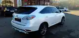 Lexus RX series, 2010-5