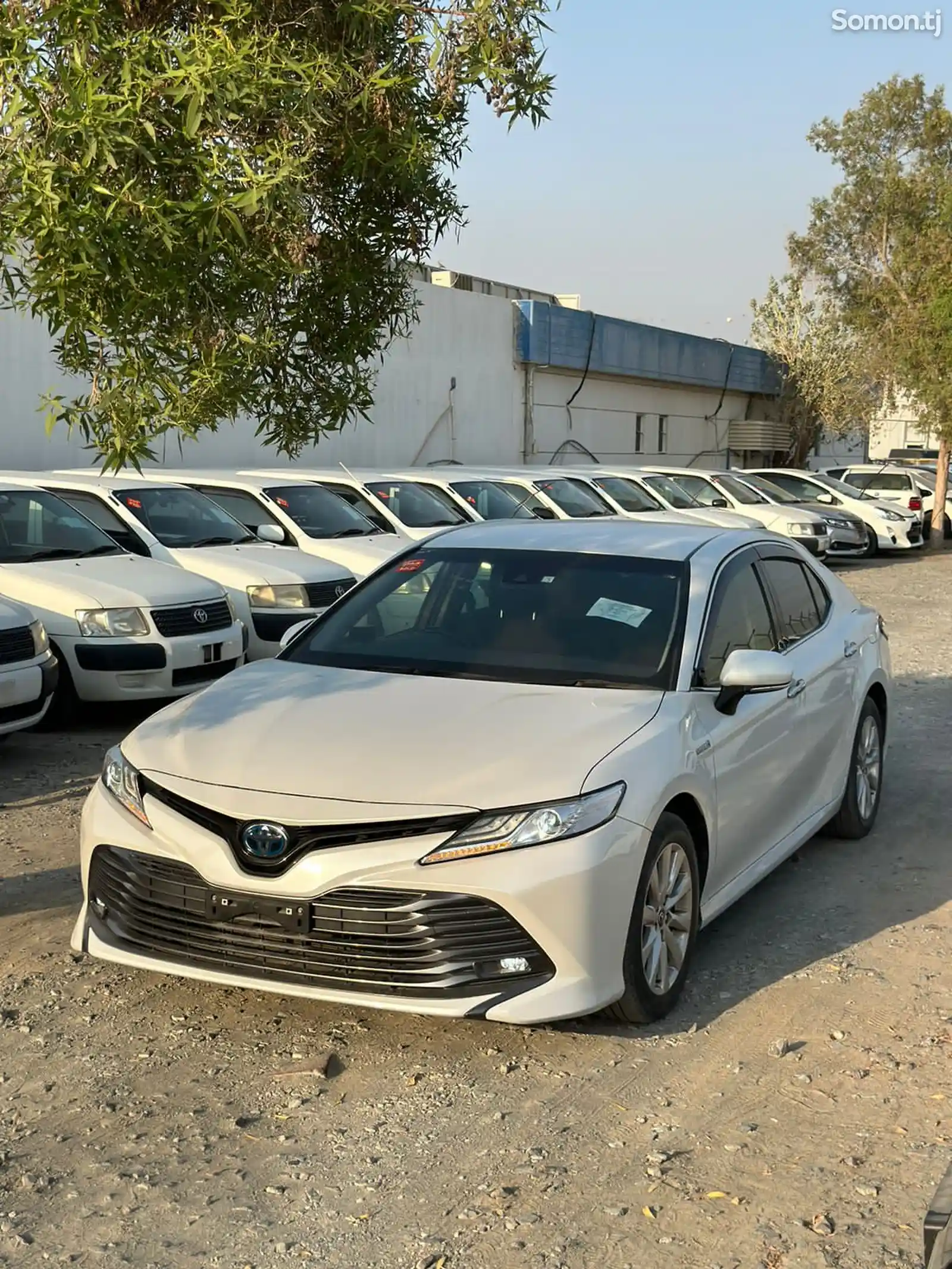 Toyota Camry, 2018-11