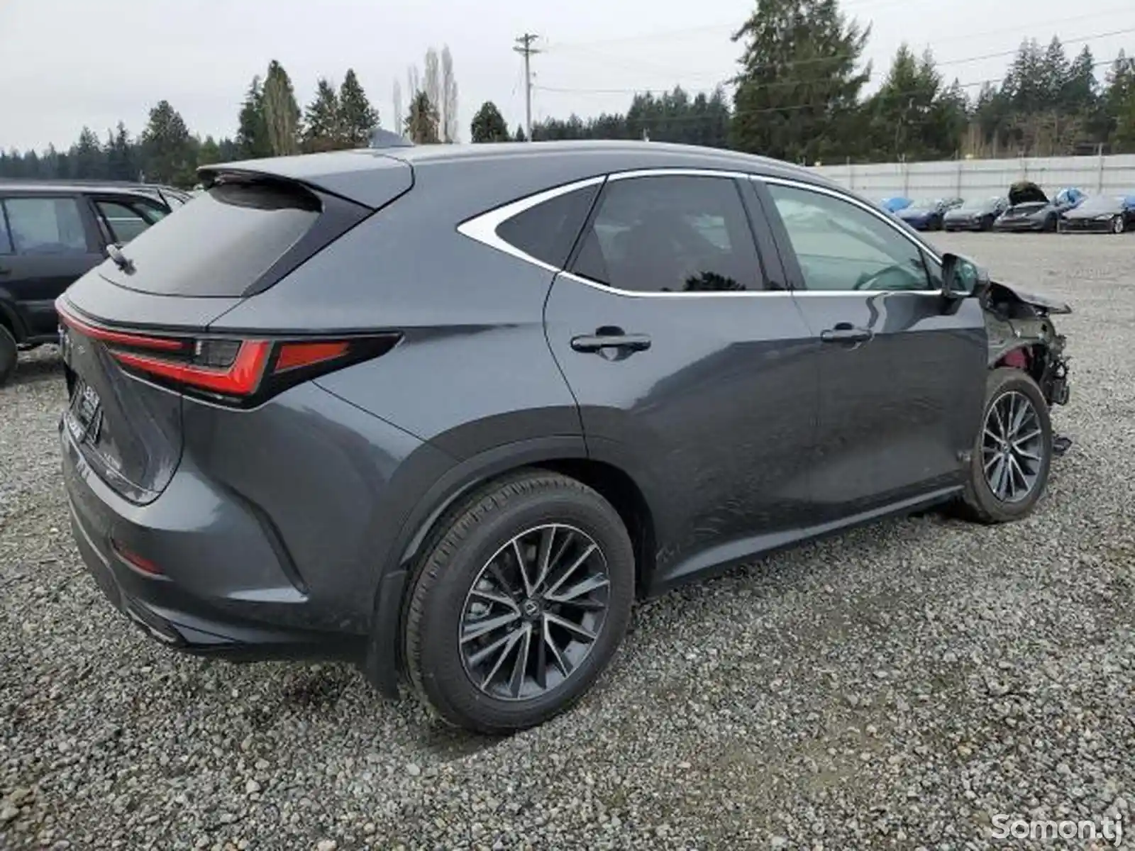 Lexus NX series, 2024-5