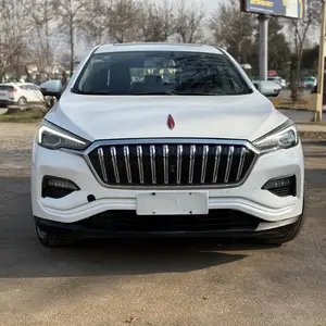 Hongqi E-HS3, 2019