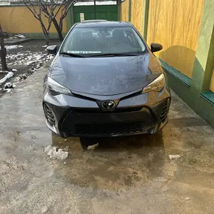 Toyota Corolla, 2019