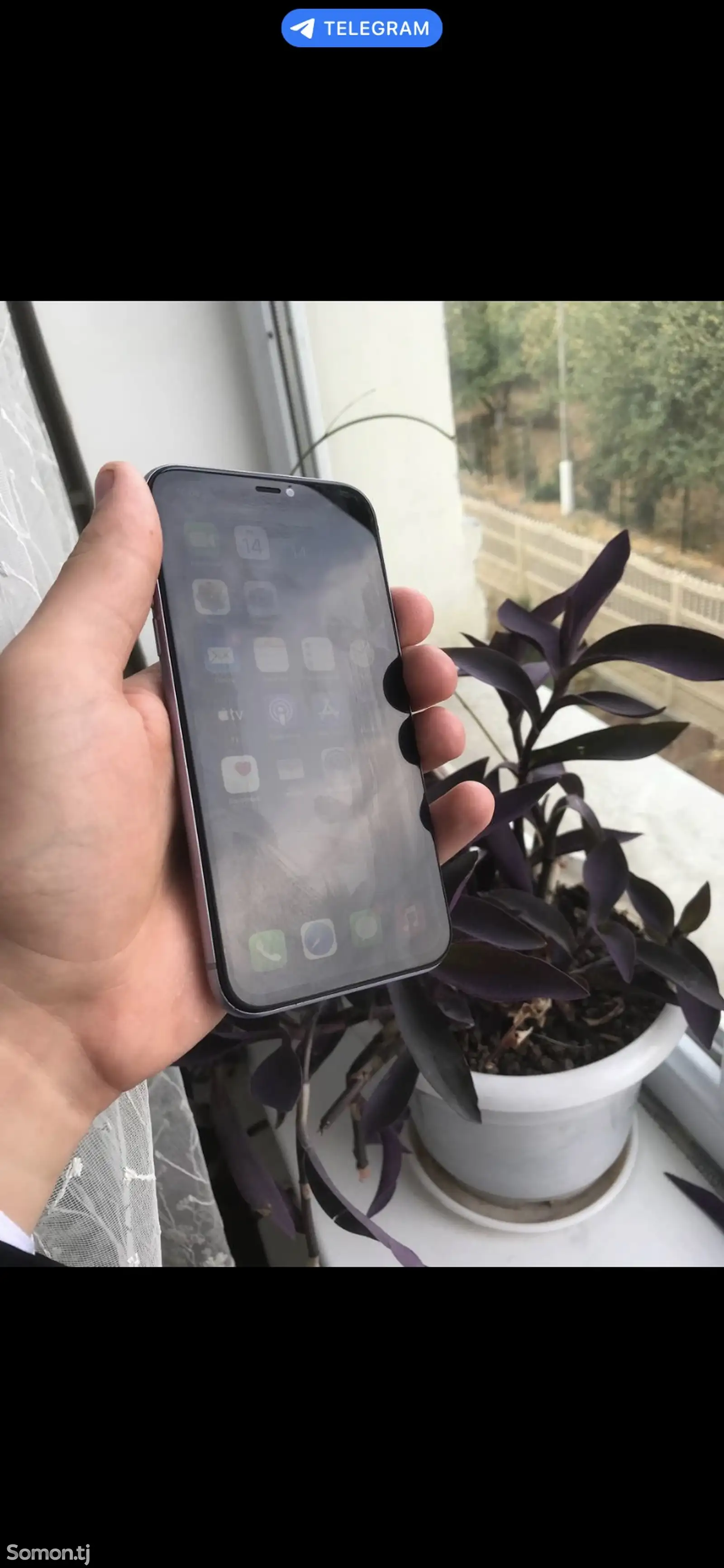 Apple iPhone 11, 64 gb, Purple-3