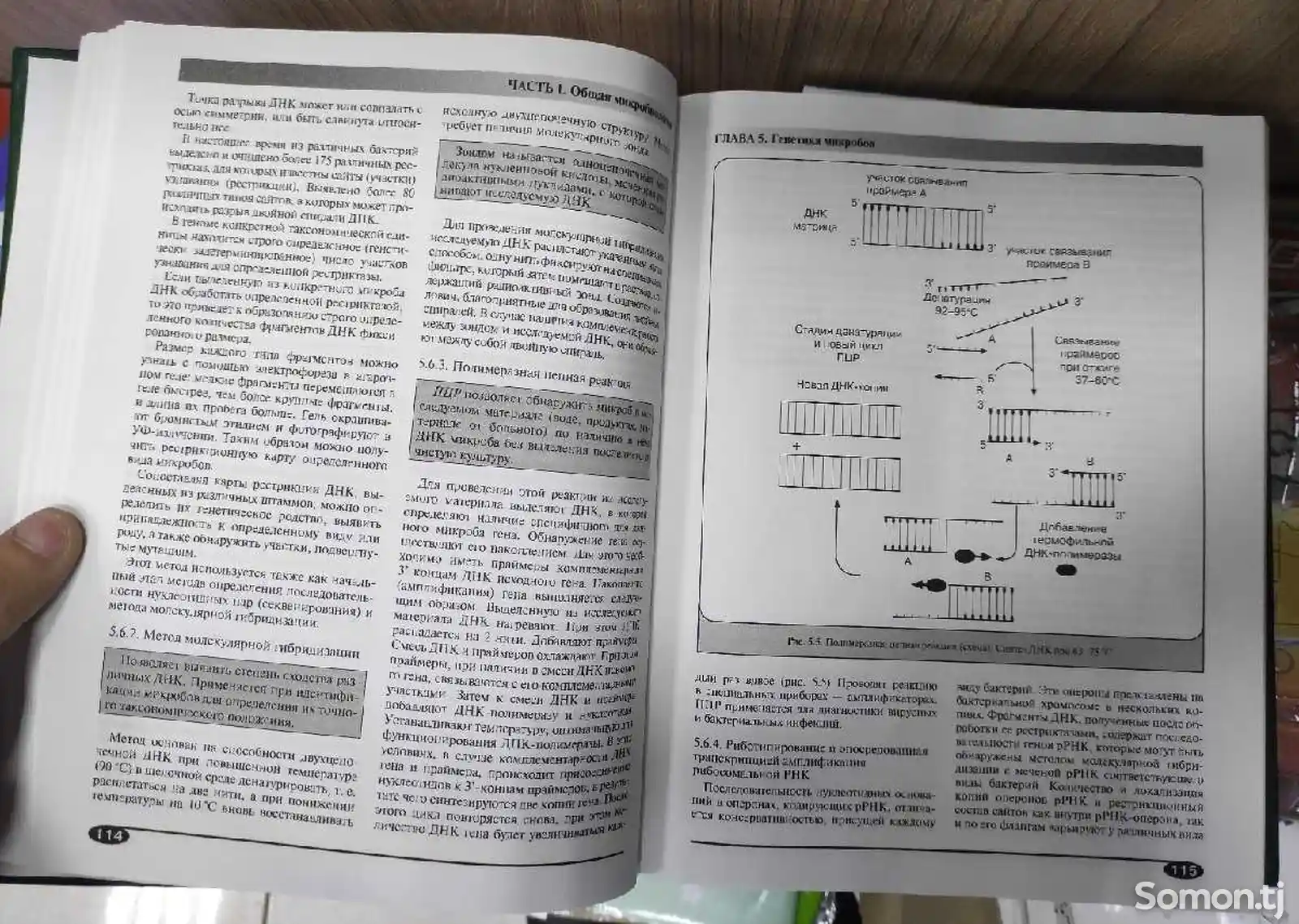 Книга медицинская микробиология-7