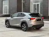 Lexus NX series, 2019-12