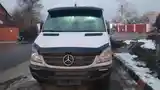 Пассажирский Mercedes benz Sprinter, 2006-3