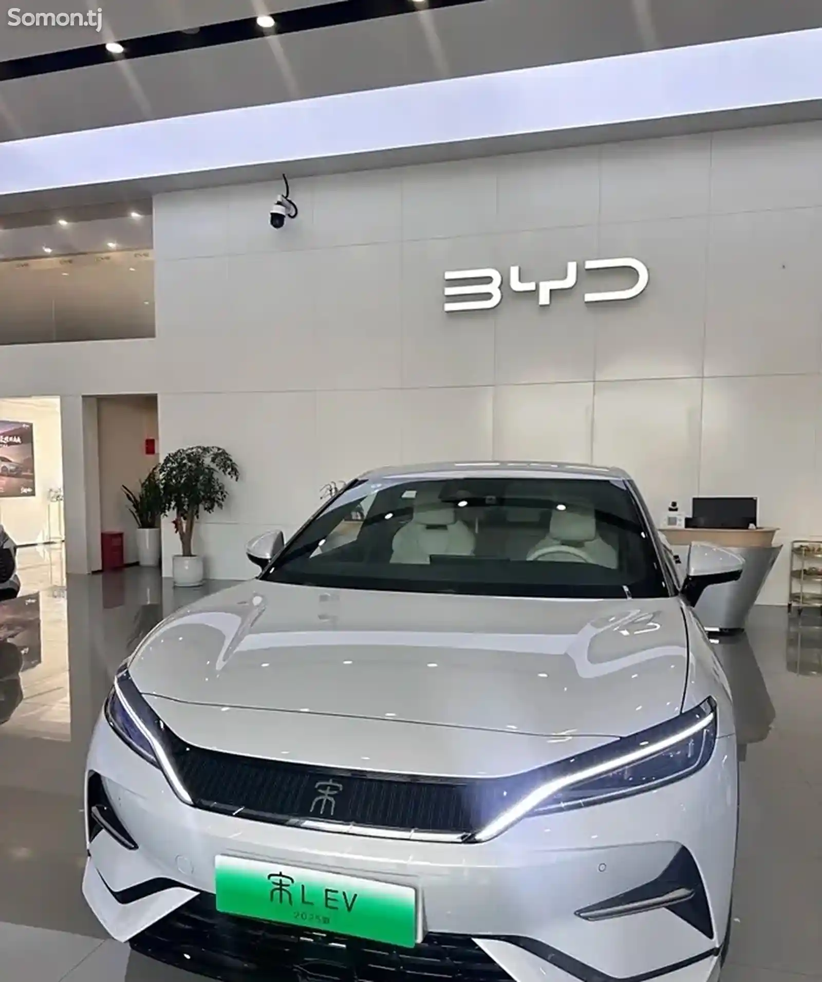 BYD Song, 2024 на заказ-1