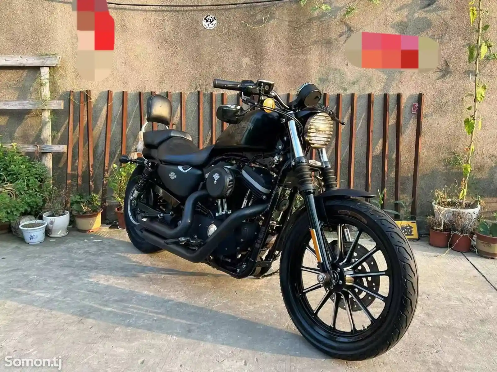 Мотоцикл Harley Davidson Sportster 883N на заказ-1