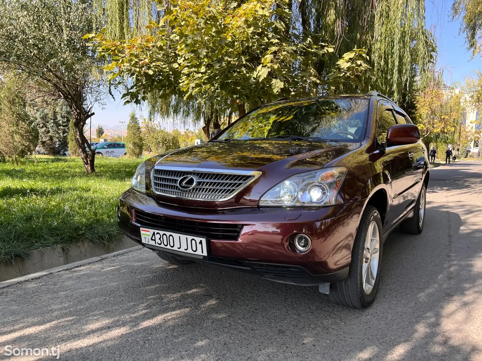 Lexus RX series, 2008-10