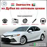 Автозапчасти из Дубая C.A.P на заказ-2