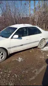 Toyota Carina, 2024-3