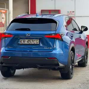 Lexus NX series, 2017