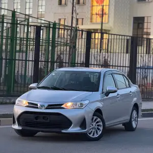 Toyota Axio, 2019