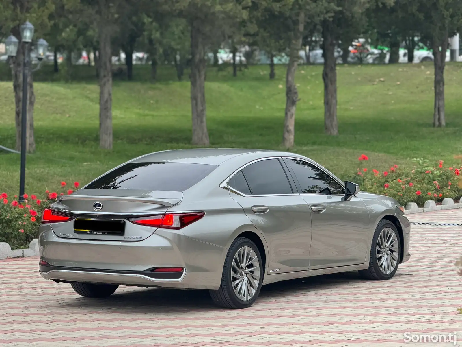 Lexus ES series, 2020-6