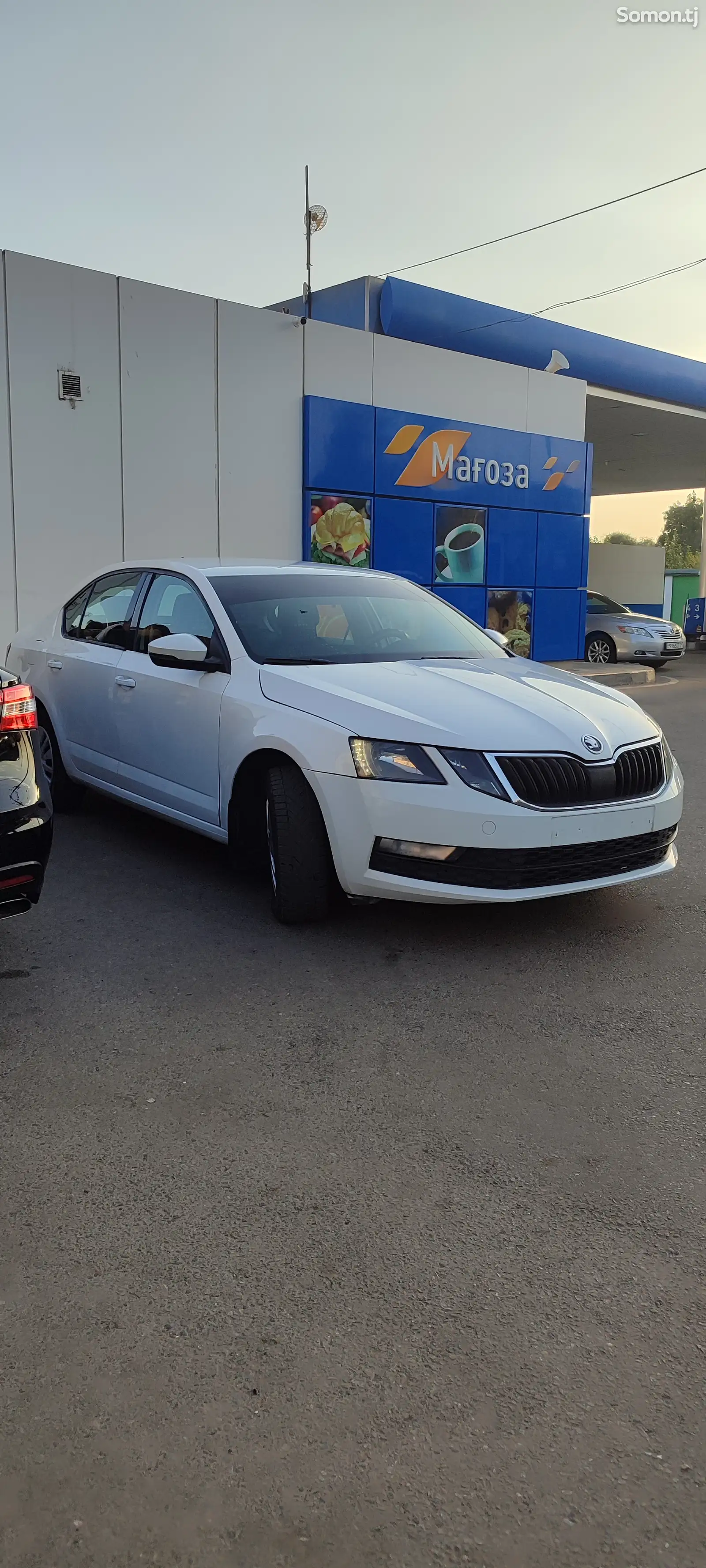 Skoda Octavia, 2019-1