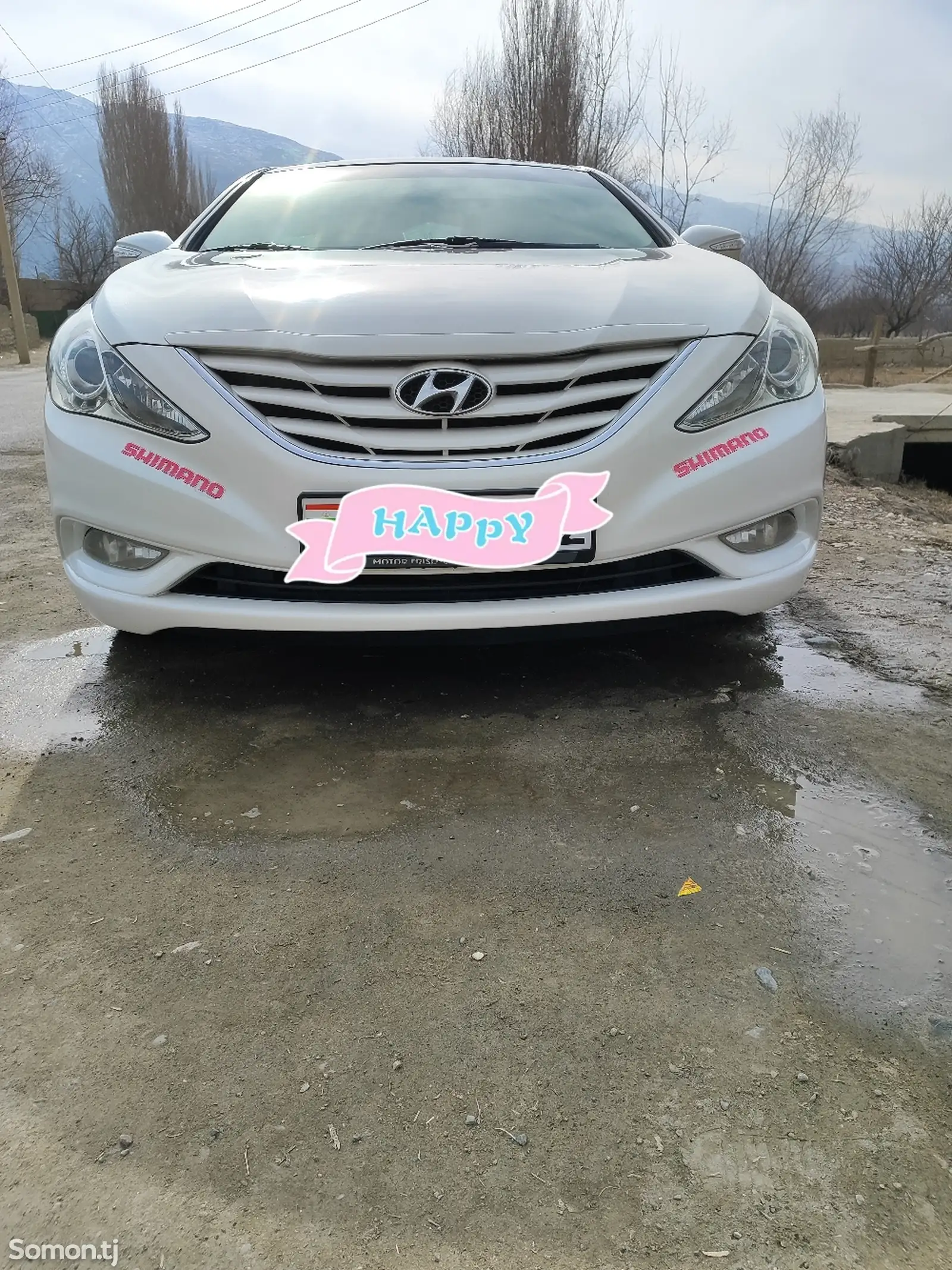 Hyundai Sonata, 2011-1