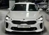 Kia Stinger, 2017-5