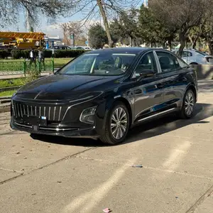 Hongqi E-QM5, 2024