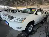 Lexus RX series, 2009-3