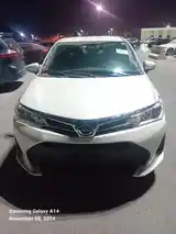 Toyota Axio, 2017-3