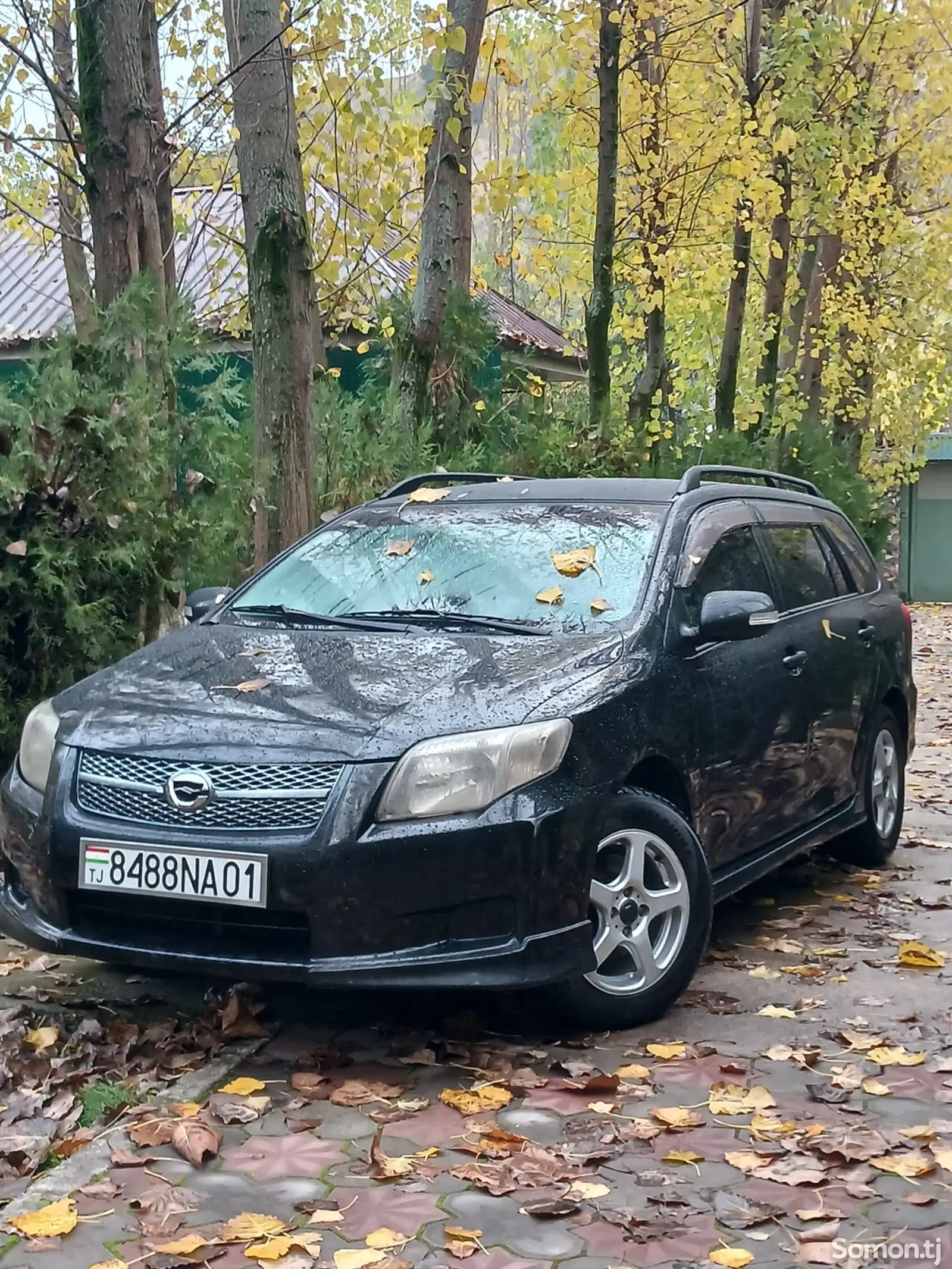 Toyota Fielder, 2008-1