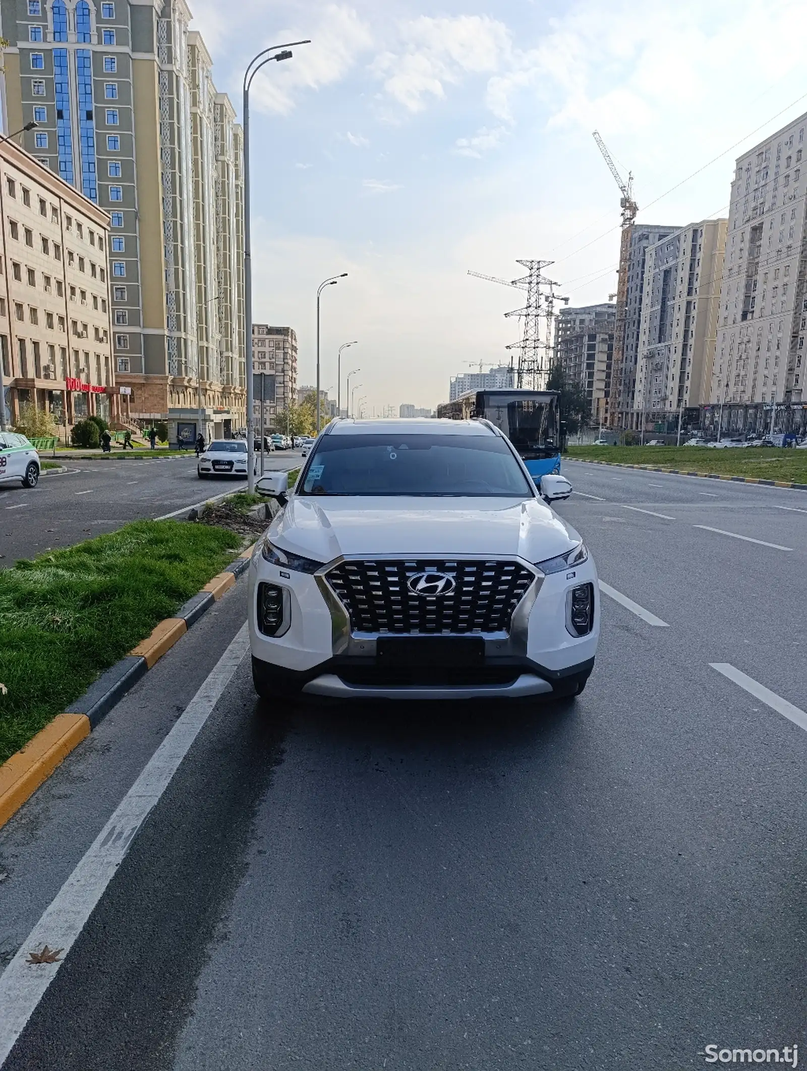 Hyundai Palisade, 2019-1