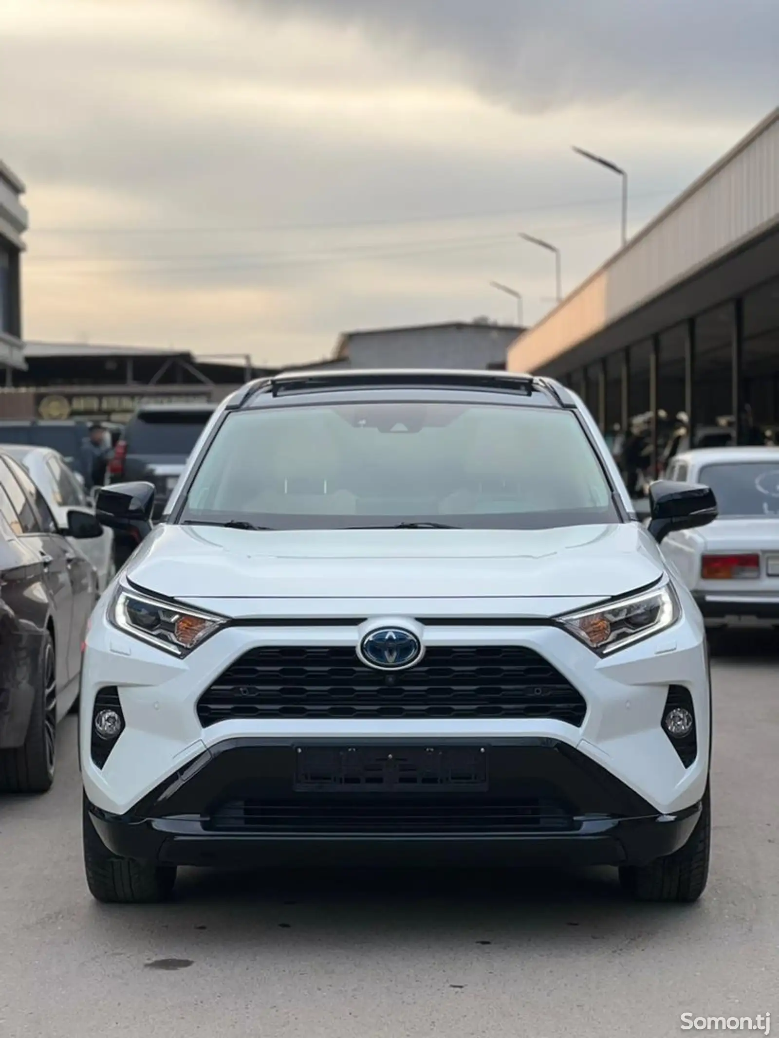 Toyota RAV 4, 2022-1