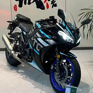 Yamaha v6