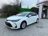 Toyota Corolla, 2022-4