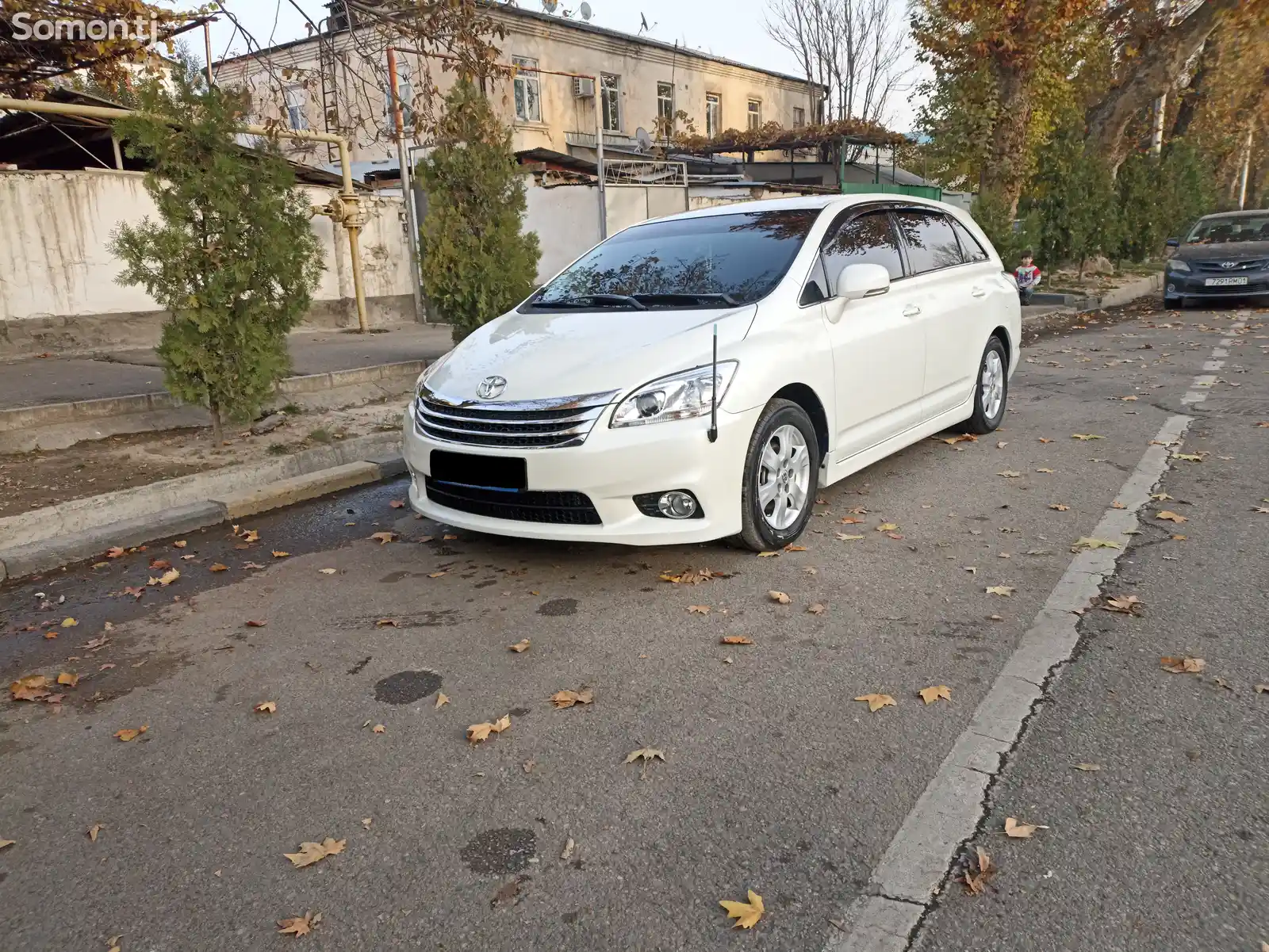 Toyota Mark X ZiO, 2010-3