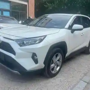 Toyota RAV 4, 2019