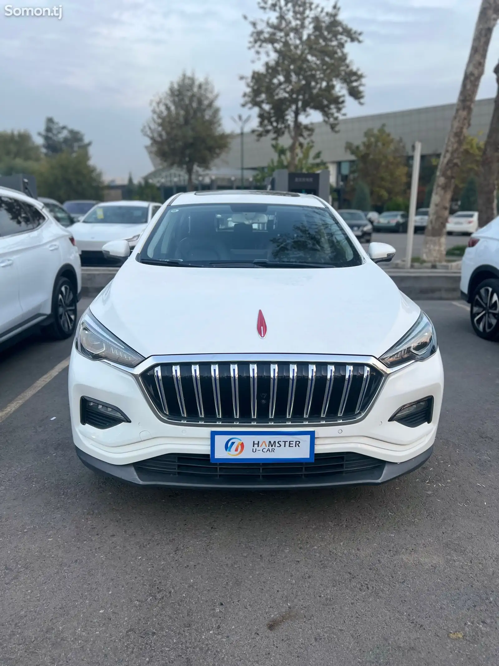 Hongqi E-HS3, 2019-1